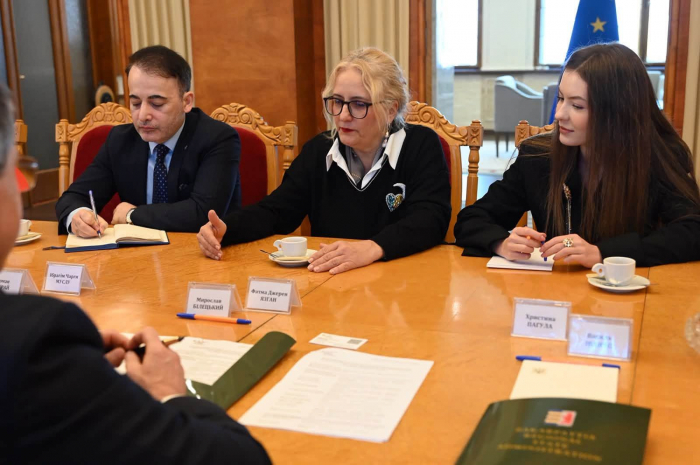 На Закарпатті обговорили перспективні напрями співпраці з Туреччиною2