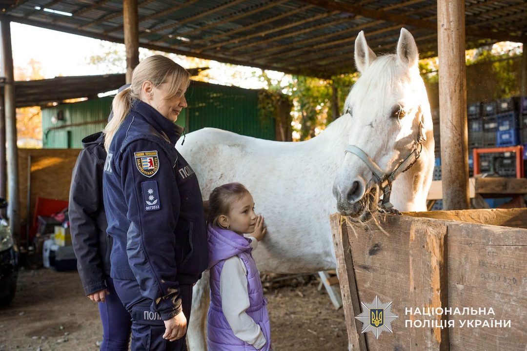Іпотерапія для ветеранів та їх родин
